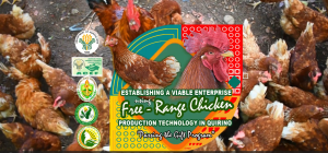 QSU’s Free-Range Chicken (FRC) Project empowers farmers with Passing the Gift Program